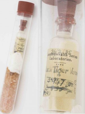 Picture of vial of venom collected by Commonwealth Serum Laboratories in 1935 